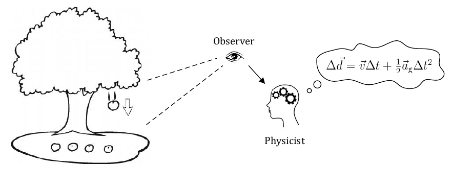 Perceiving physical equations by observing visual scenarios