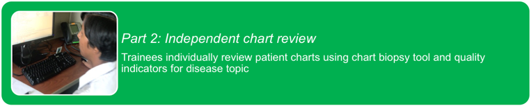 Rn Chart Review Remote