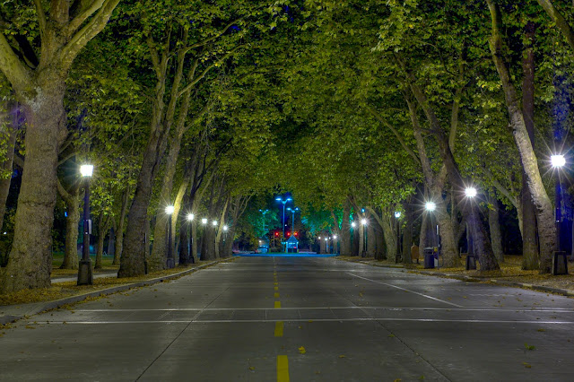 UW Memorial Way