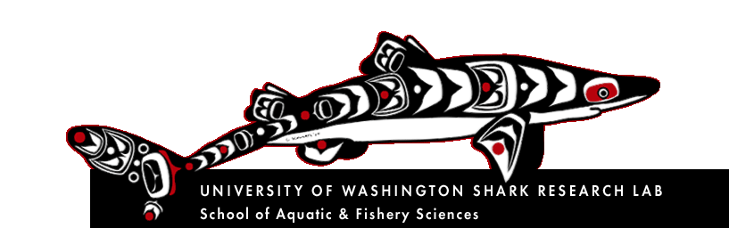 Elasmobranch Lab, UW School of Aquatic & Fishery Sciences (logo art)