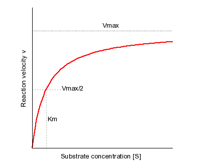 Michaelis-Menten Kinetics and Briggs-Haldane Kinetics